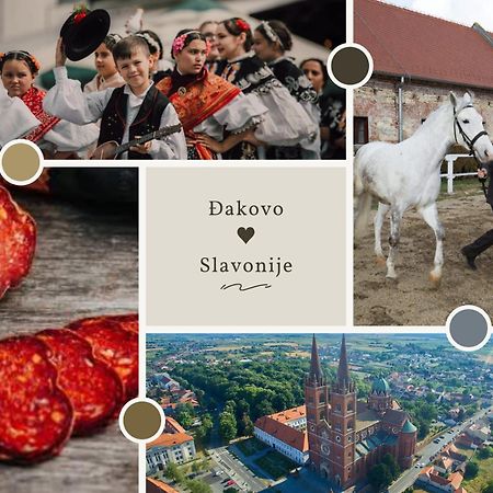 Sobe Dakovacki Vezovi Hotell Ðakovo Exteriör bild